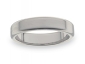 Titanium Wedding Rings WGT10